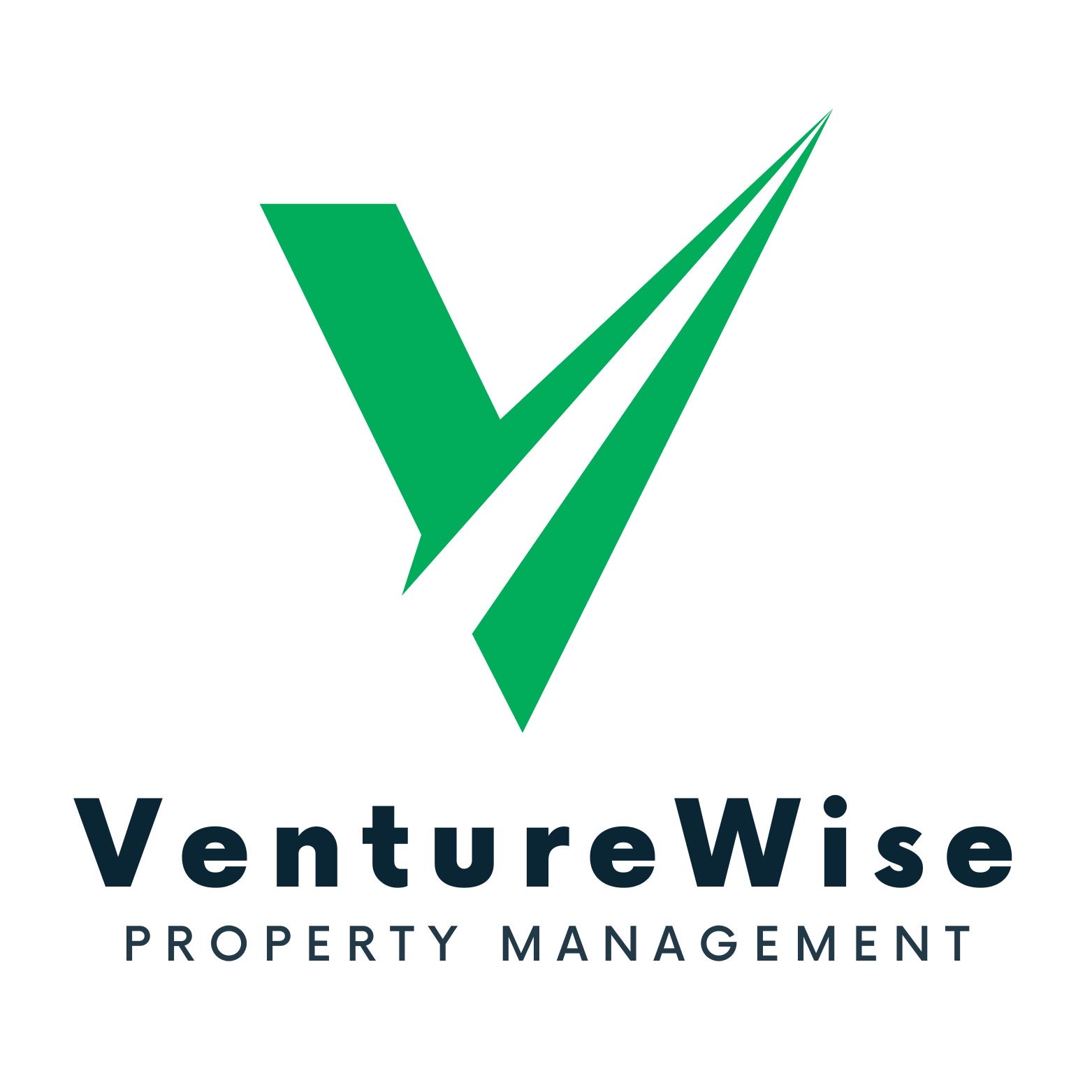 VentureWise services showcase