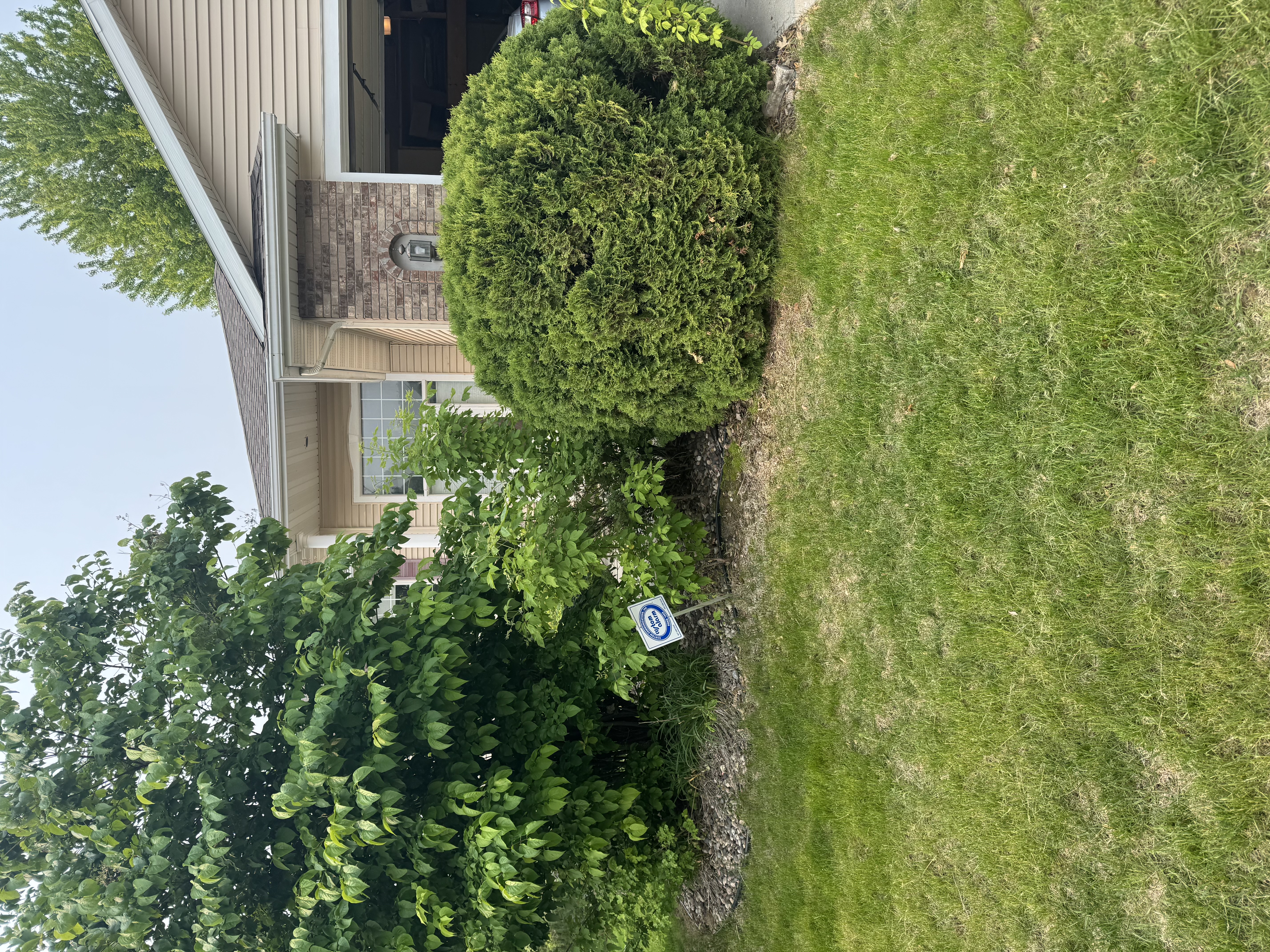 Residential landscaping project 4