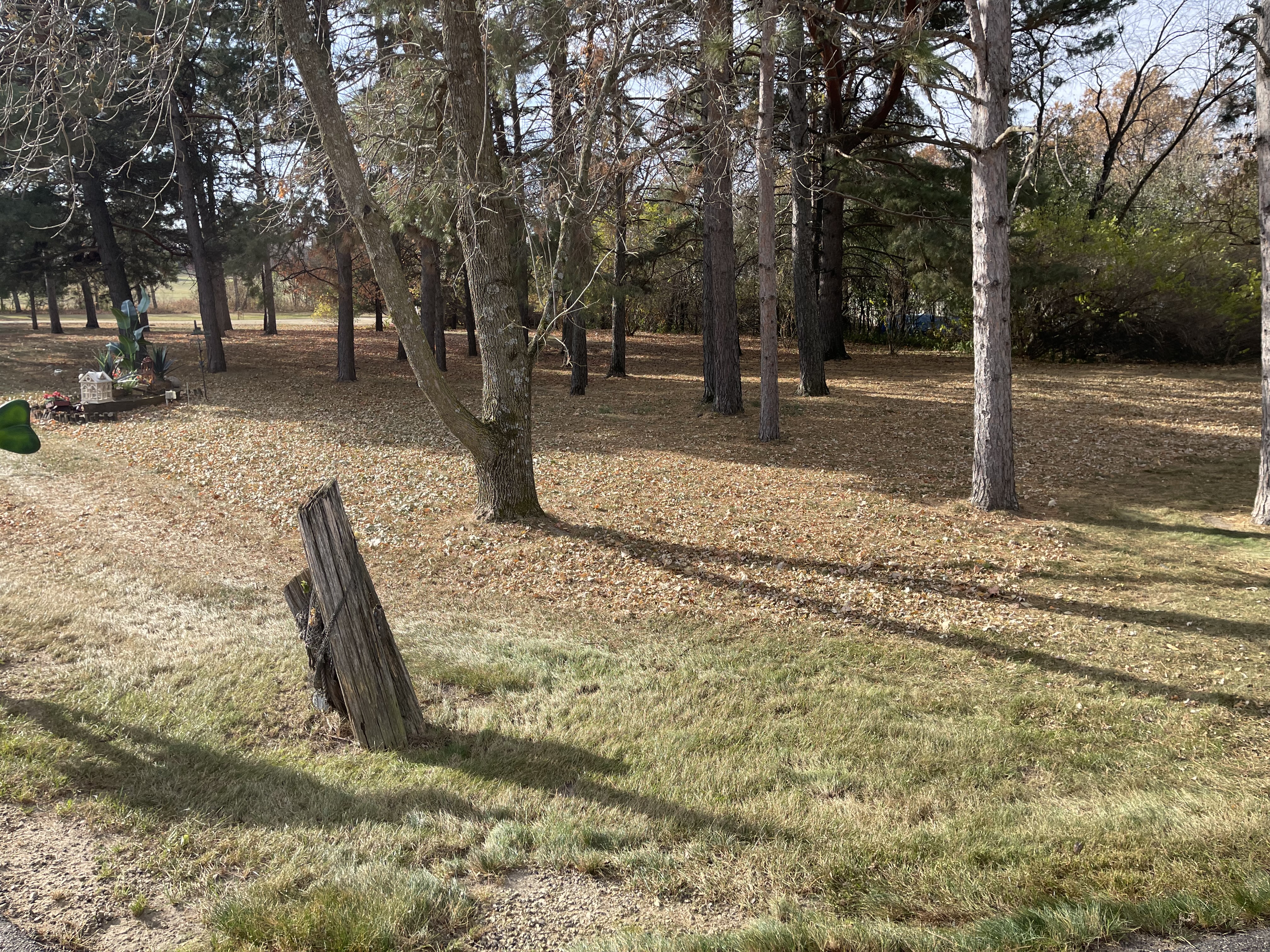 Residential dethatching and seasonal cleanup