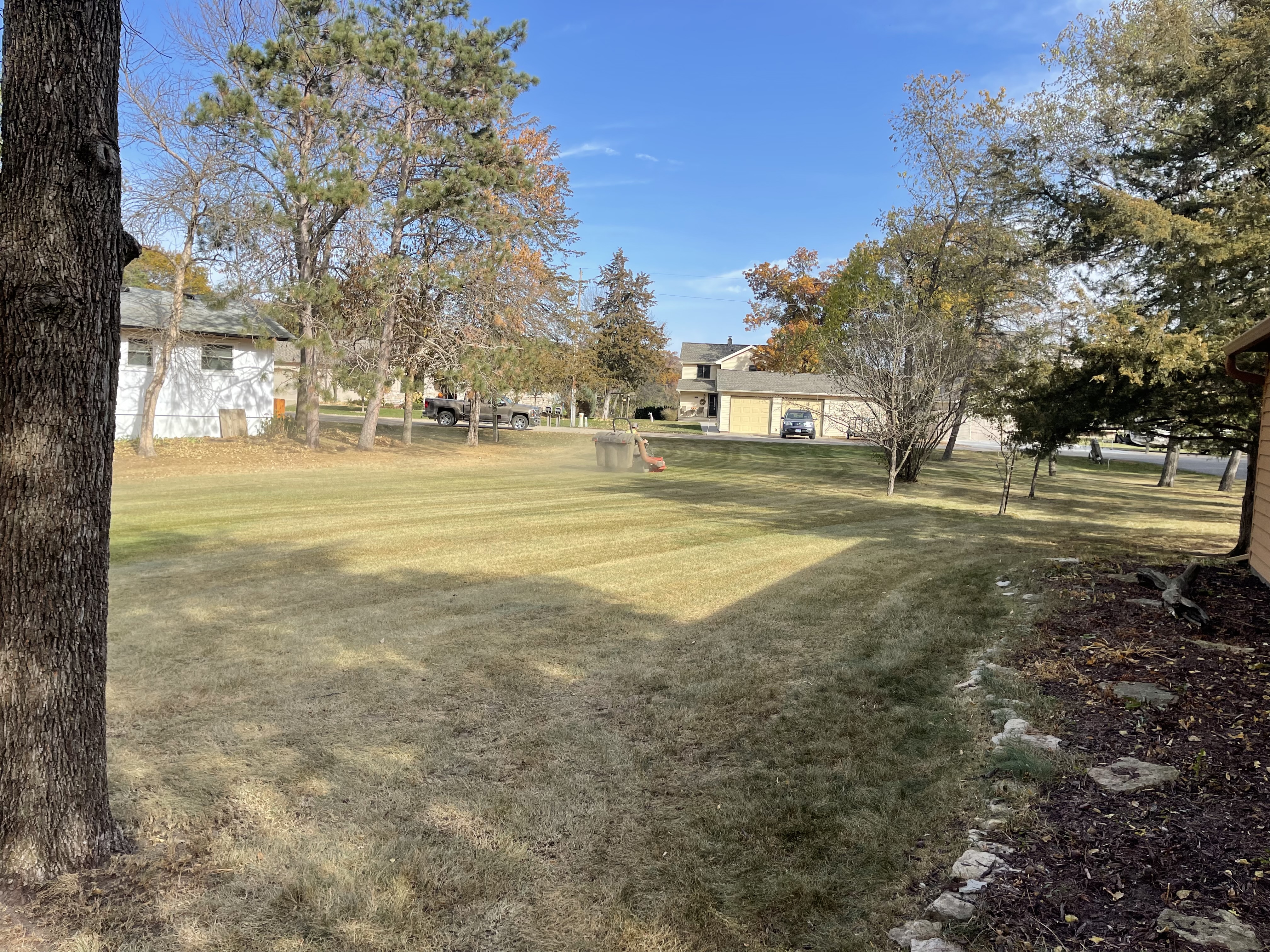 Residential dethatching and seasonal cleanup